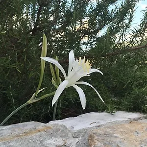 Ca' Di Bianca Maison d'hôtes